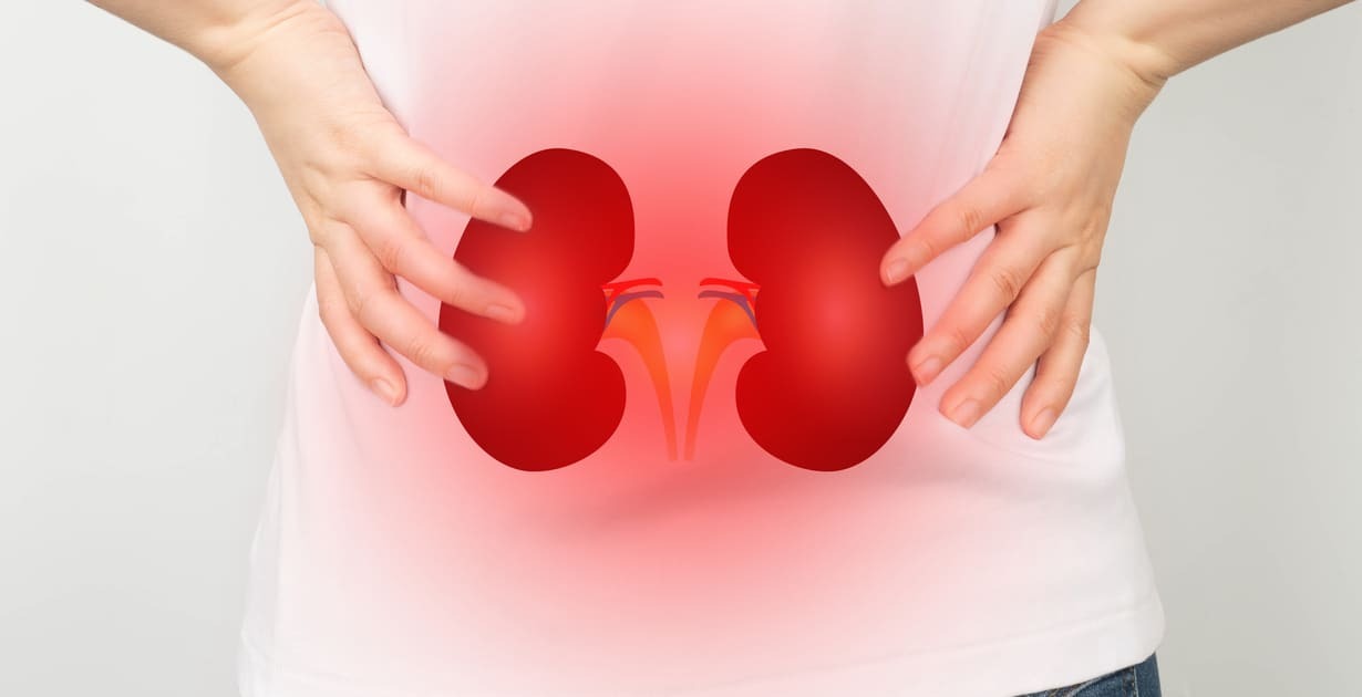 Kidney Doctor in Gurugram